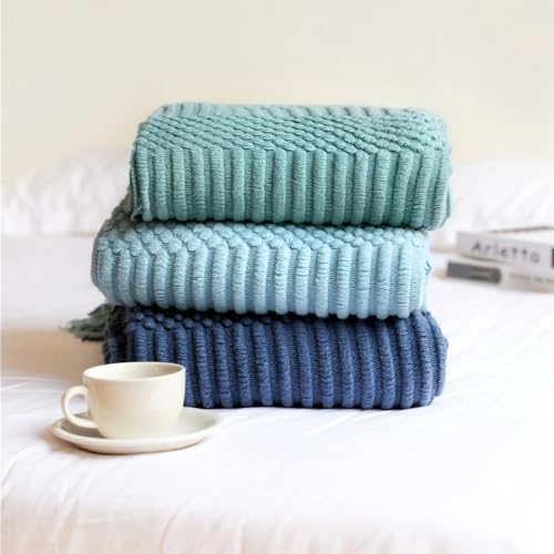 Striped Knit Fringe Throw Blanket 50x60 – 10 Colors